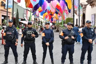 Detenciones en FNSM repuntaron en más de un 50 por ciento