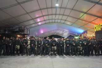 Feria de los Chicahuales finalizó con saldo blanco