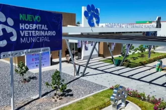 Fortalece Leo salud y calidad de vida de las mascotas con el primer Hospital Veterinario Municipal