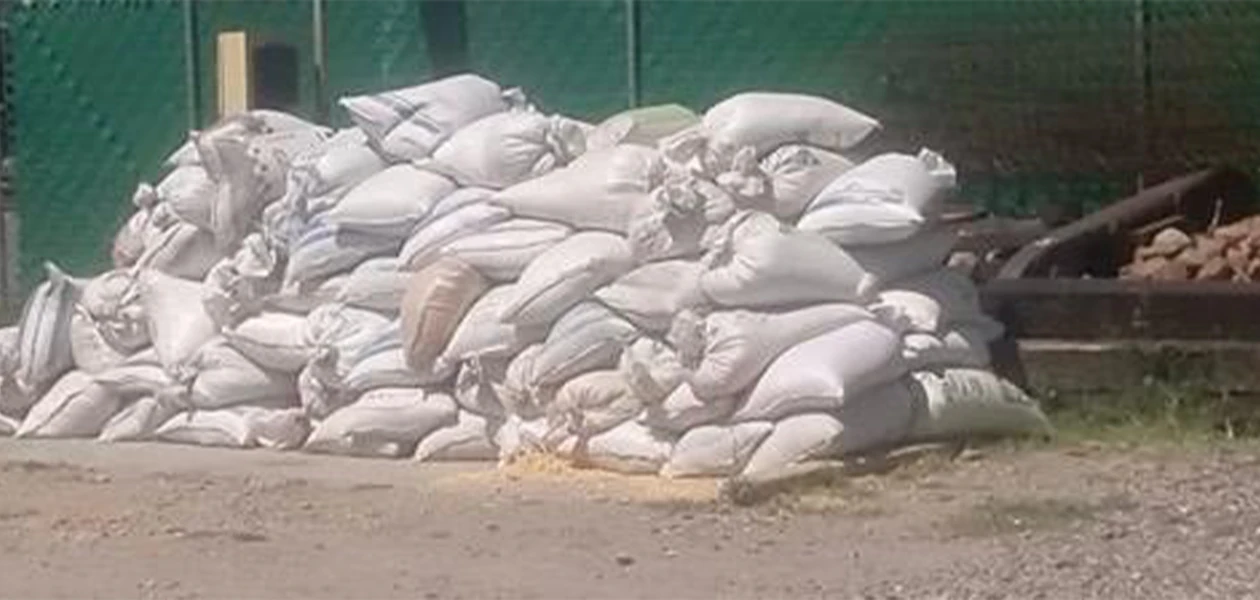 Hallan bodega repleta de granos robados a trenes