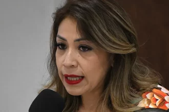IEE revisa padrones de partidos locales y analiza iniciativa sobre recursos en campañas