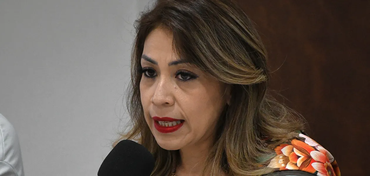 IEE revisa padrones de partidos locales y analiza iniciativa sobre recursos en campañas