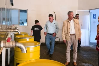 Impulsa Tere a cerca de 200 apicultores locales