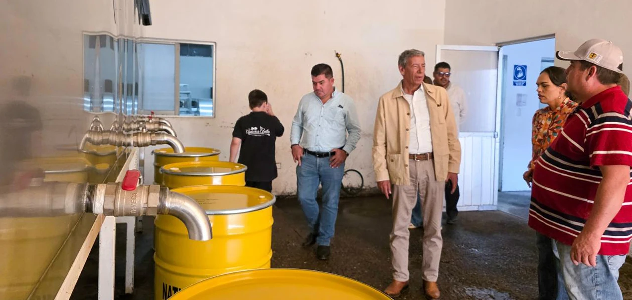 Impulsa Tere a cerca de 200 apicultores locales