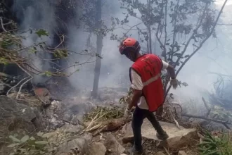 Muere funcionario de Ecuador en accidente en Kenia