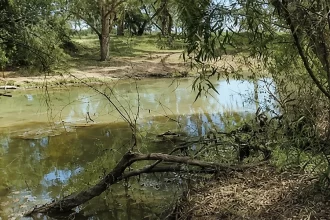Polución del Río San Pedro afecta a la ciudadanía