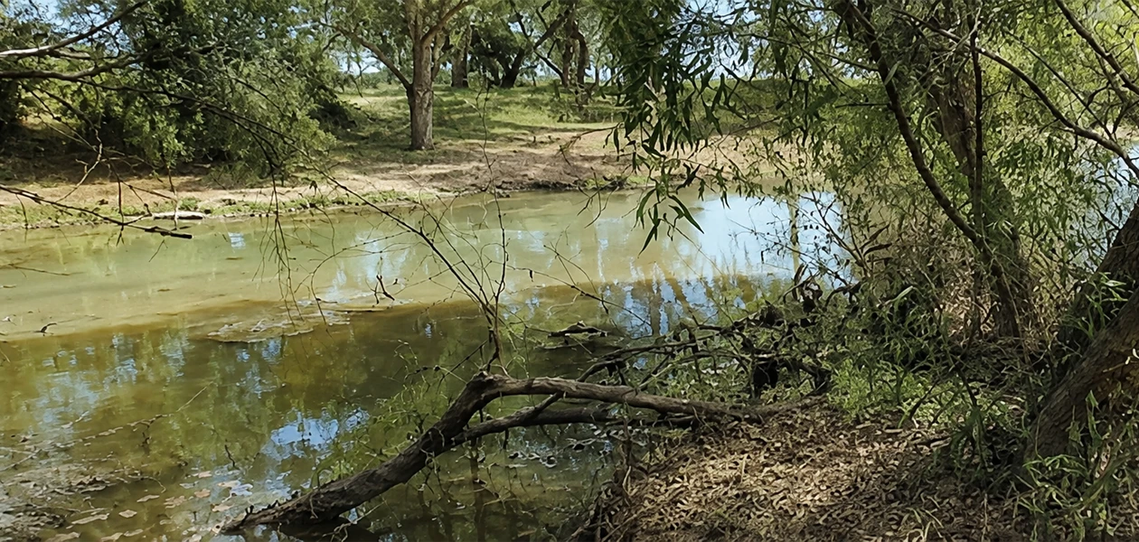 Polución del Río San Pedro afecta a la ciudadanía