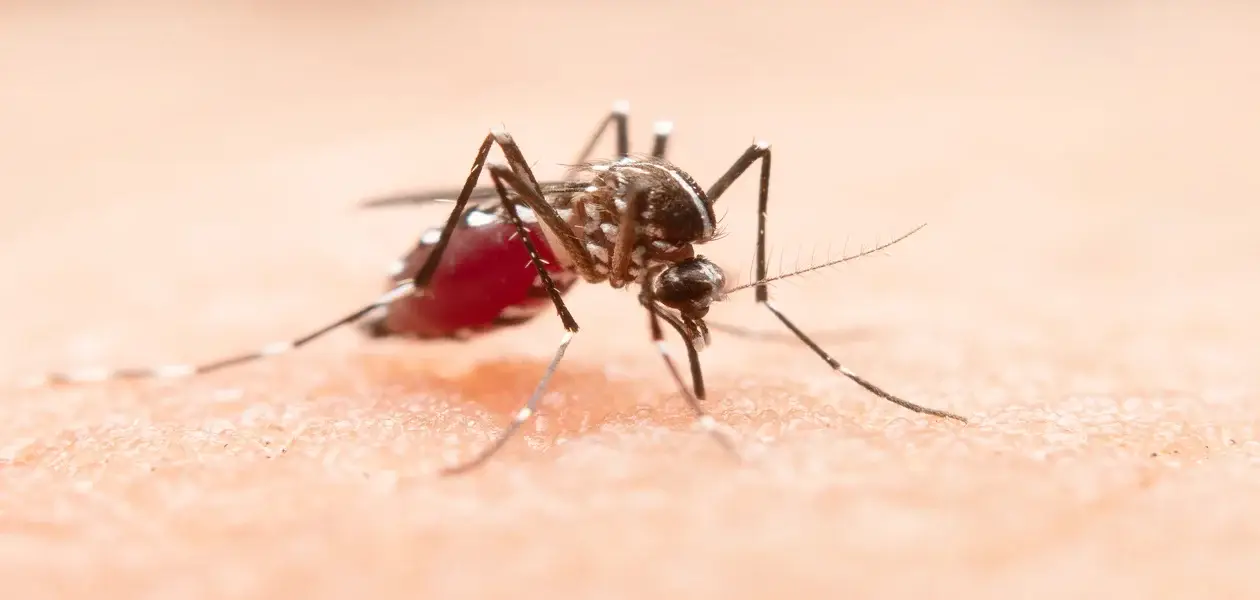 Reaparece sarampión y se dispara el dengue