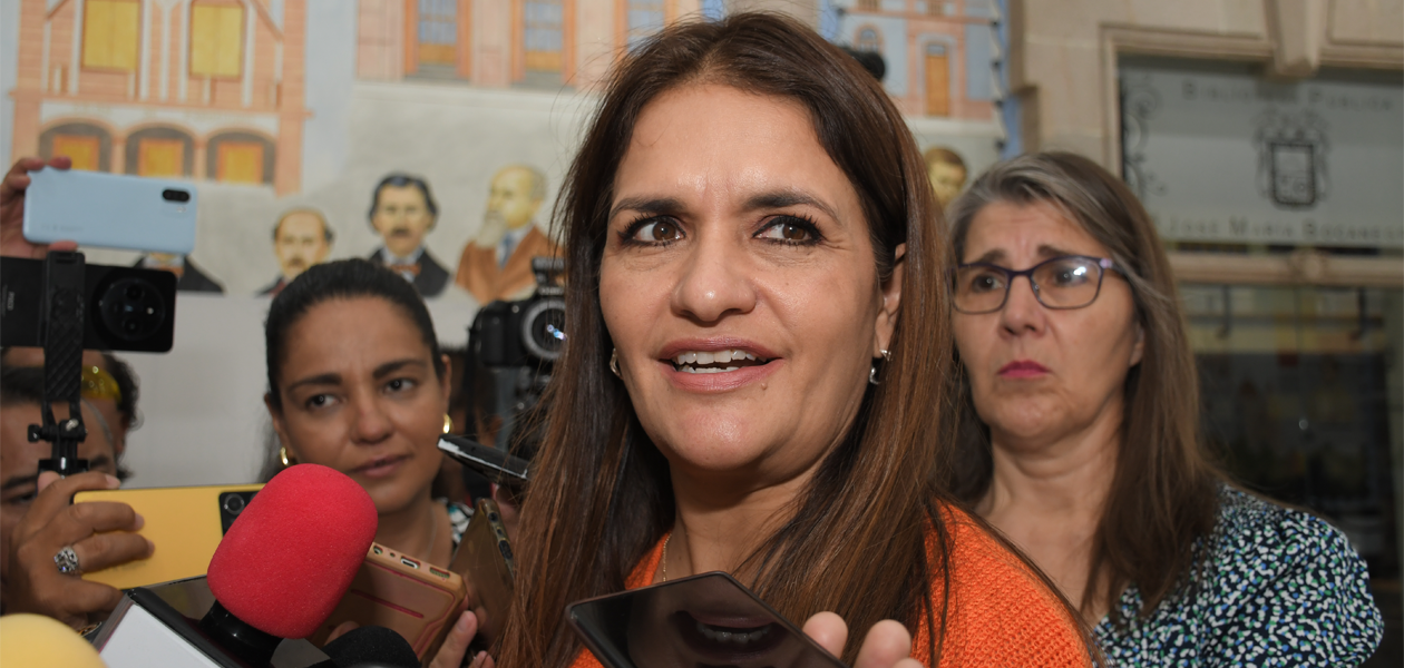 Tendrán 28 días para realizar la consulta: Alma Hilda