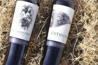 Vino de Aguascalientes y DIF Estatal: Éxitos que transforman vidas en la entidad