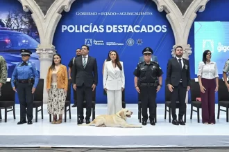 el Estado con la menor tasa de homicidios