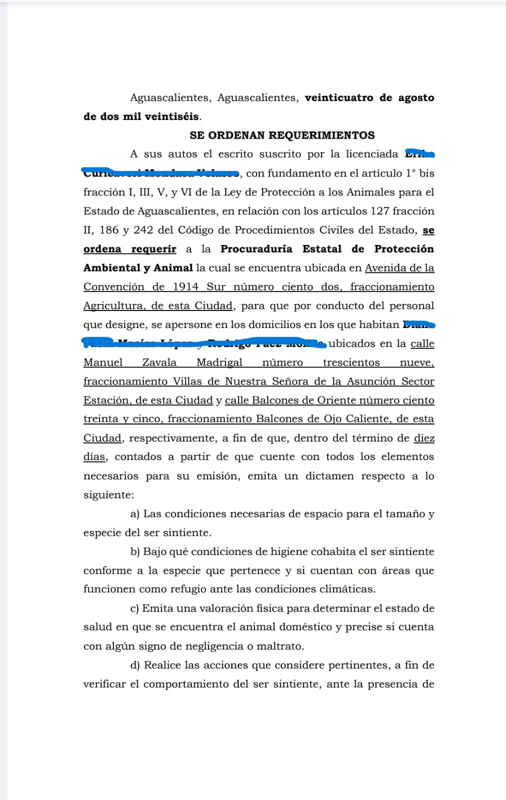 pelea pareja custodia de su perrihijo