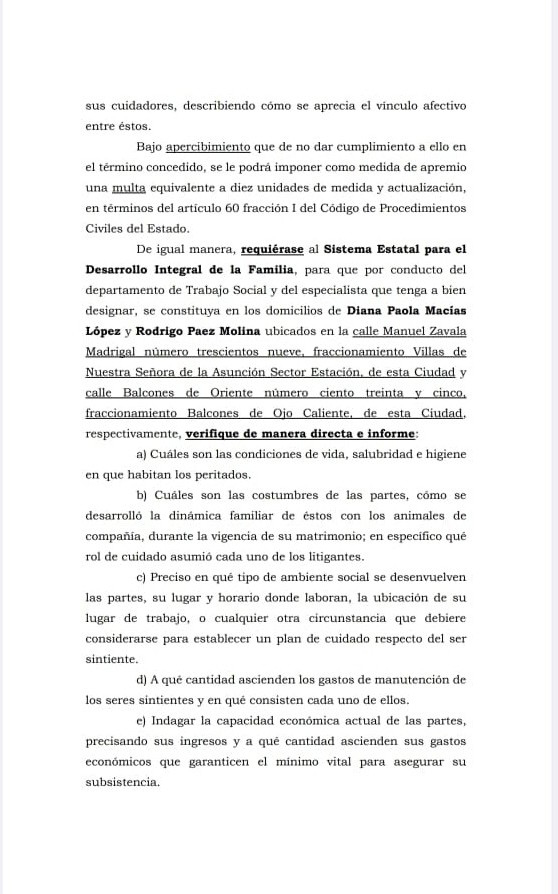 pelea pareja custodia de su perrihijo