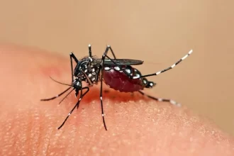 Dengue se mantiene muy a la alza en Aguascalientes