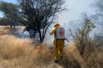 Dueños del Picacho podrían prohibir el acceso, para evitar incendios