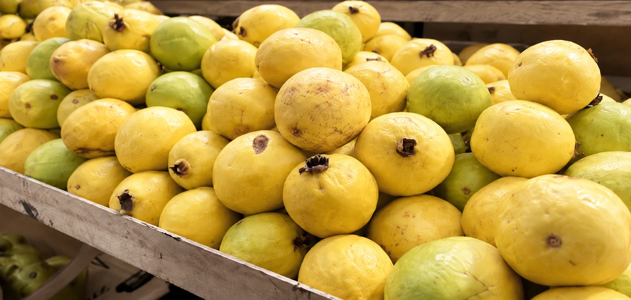 Guayaba de Calvillo es reconocida como patrimonio nacional