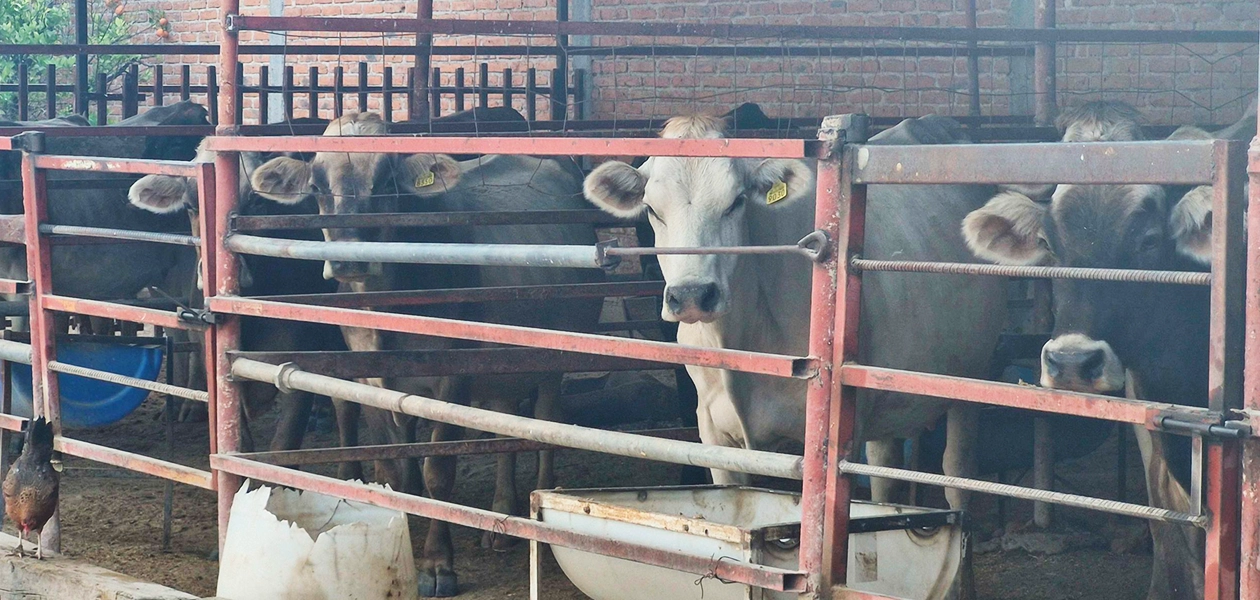 Municipio arranca la Clínica Veterinaria Ambulatoria 2026 en Aguascalientes