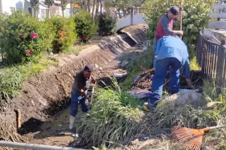 Refuerzan limpieza en canal de La Estrella para prevenir encharcamientos