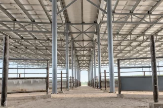 Nuevo rastro de Jesús María presenta un avance del 90%
