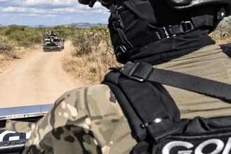 Ordena Tere activar plan de seguridad