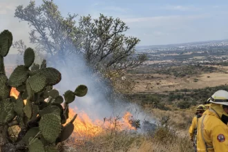 Quedó controlado el incendio en el Cerro del Muerto