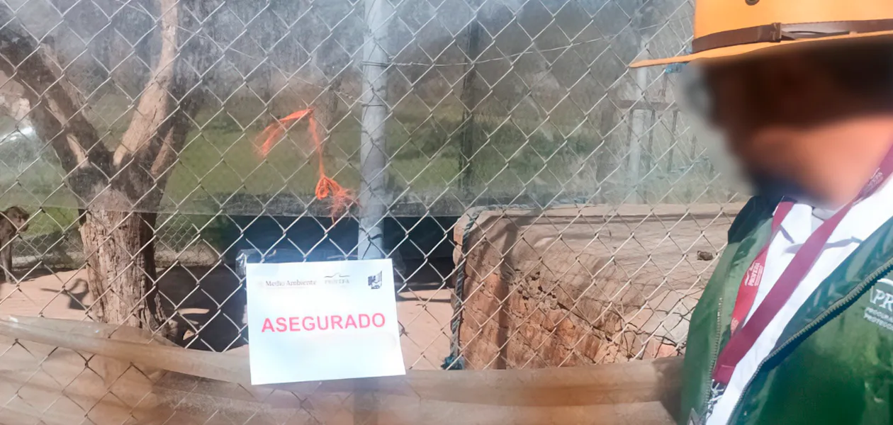 Todavía no se autoriza la acreditación para que sea zoológico el rancho de Jaltomate