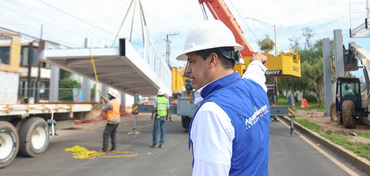 Verifica Leo montaje de puente peatonal