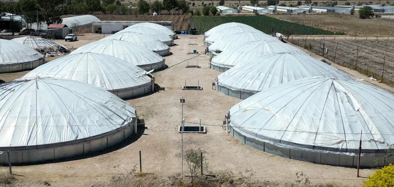 Suben hasta 40% precios de comida típica de Cuaresma en Aguascalientes