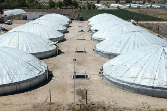 Operativo sanitario vigila venta de pescados y mariscos por Cuaresma