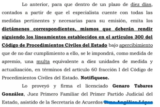 pelea pareja custodia de su perrihijo