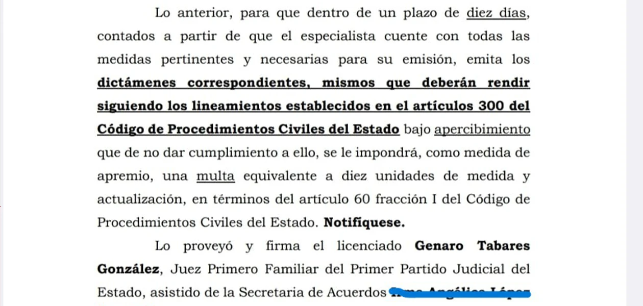 pelea pareja custodia de su perrihijo